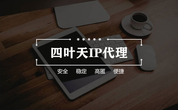 【东方代理IP】如何快速搭建代理IP？怎么检查代理的效果？