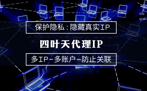 【东方代理IP】什么是代理ip池？如何提高代理服务器的网速